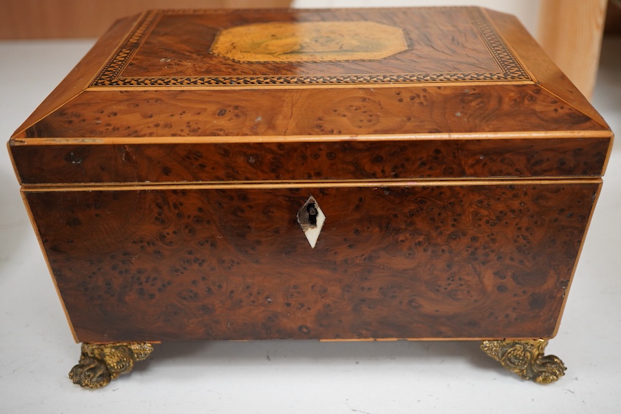 A Regency inlaid burr yew sarcophagus work box, 22cm